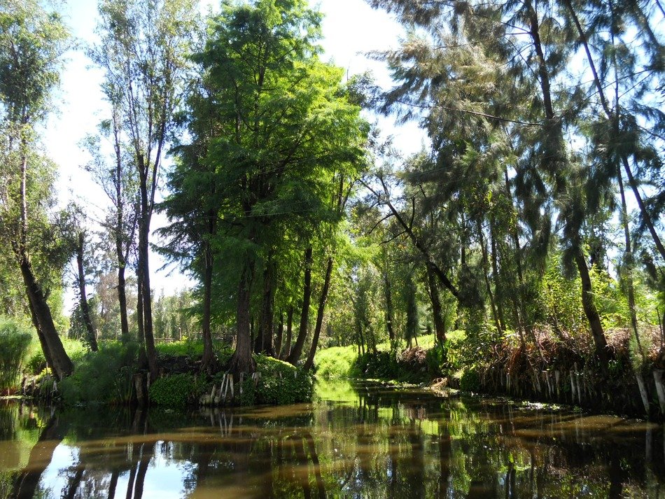 picturesque river in Xochimilco
