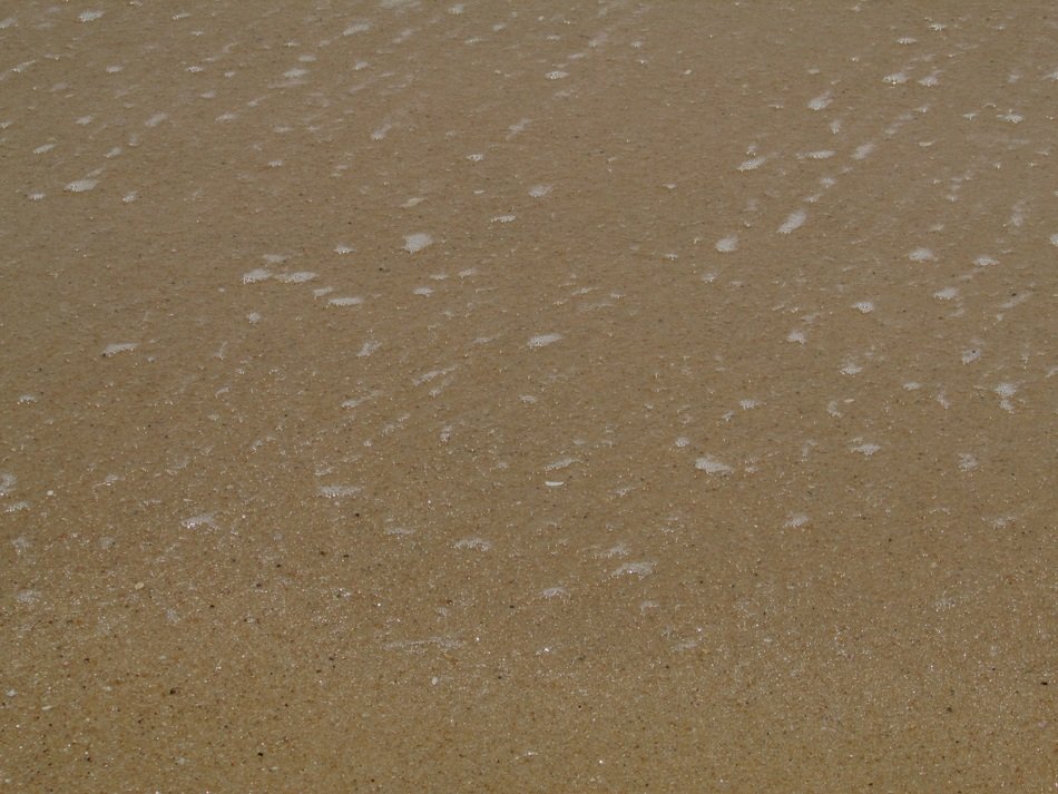 Sand on the coast close-up