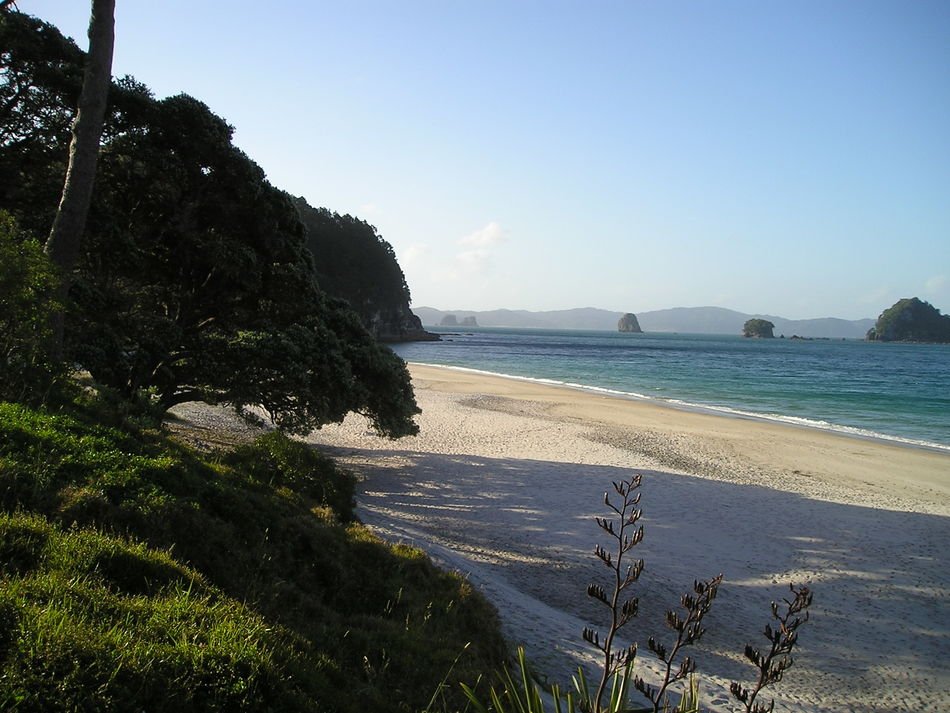 beautiful sandy beach in new zealand
