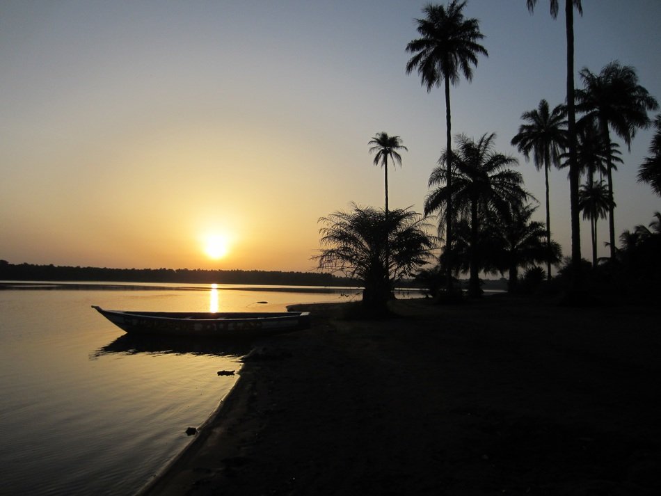 boat on the water near the palm trees during sunset