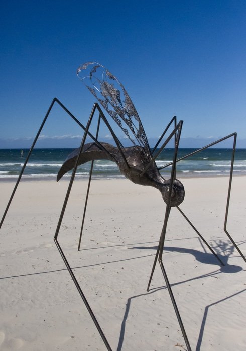 sculpture of an insect on the beach in Australia