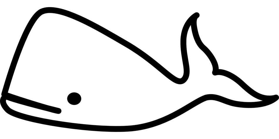 Picture of whale