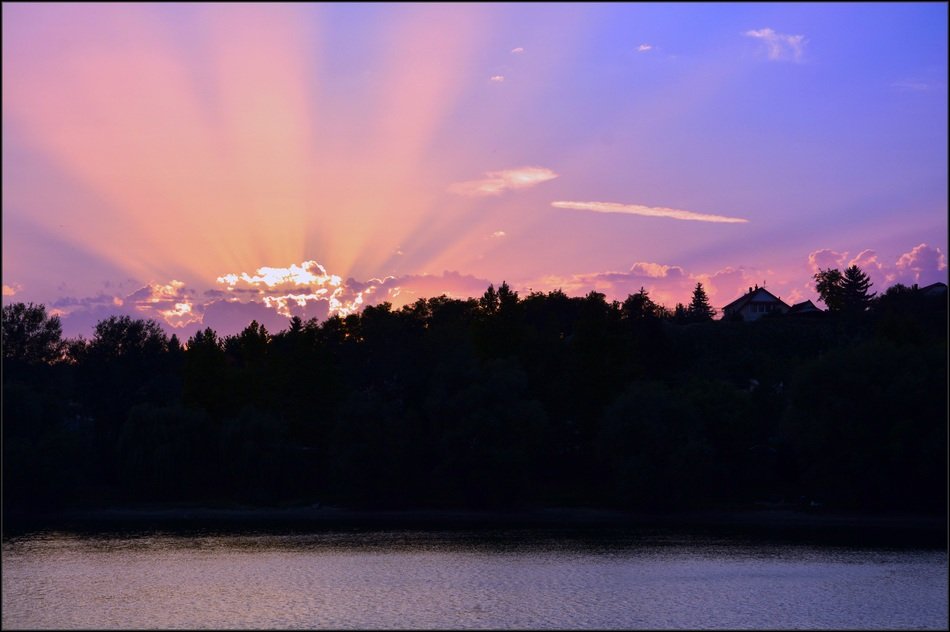 the sun behind the trees