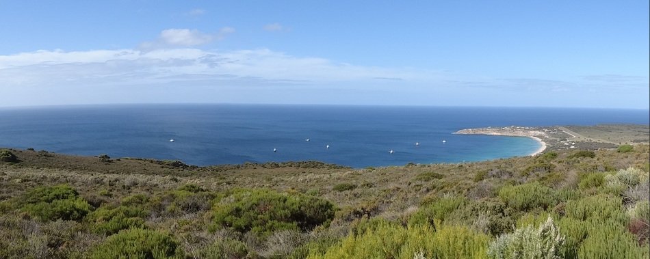 panorama of the island thistle