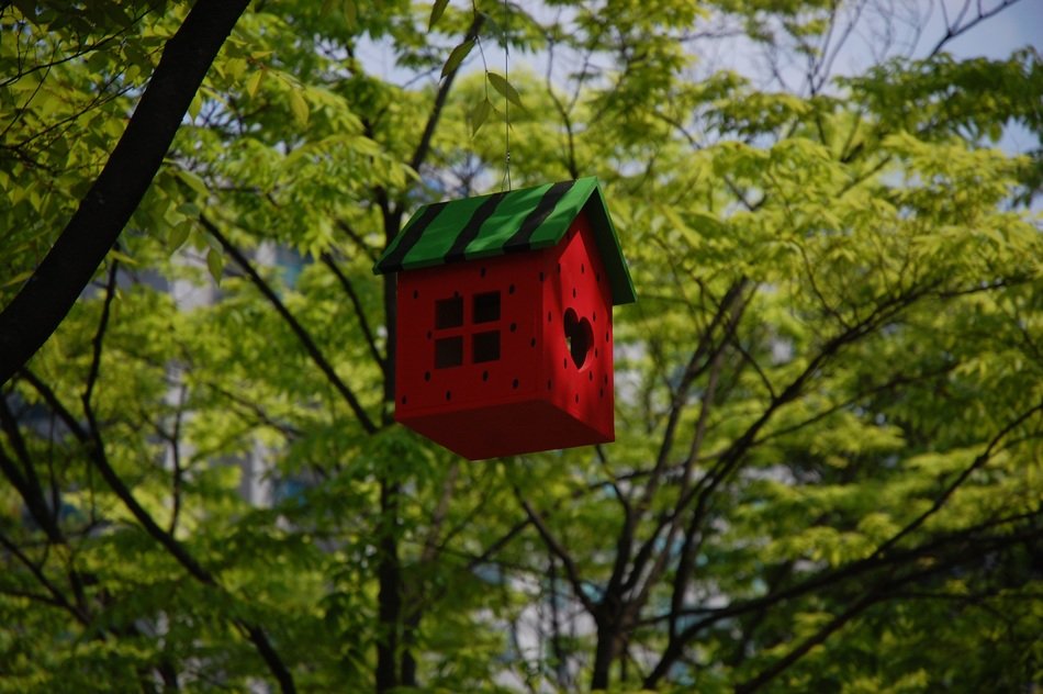 Colorful little house on tree in a park in asia