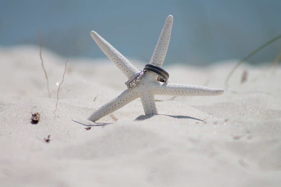 wedding rings on the starfish