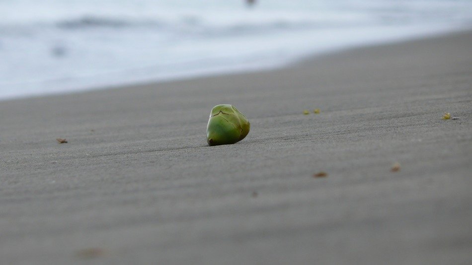 fruit on the beach in Hawaii