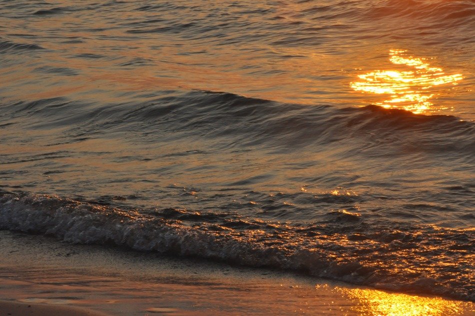 beautiful wave