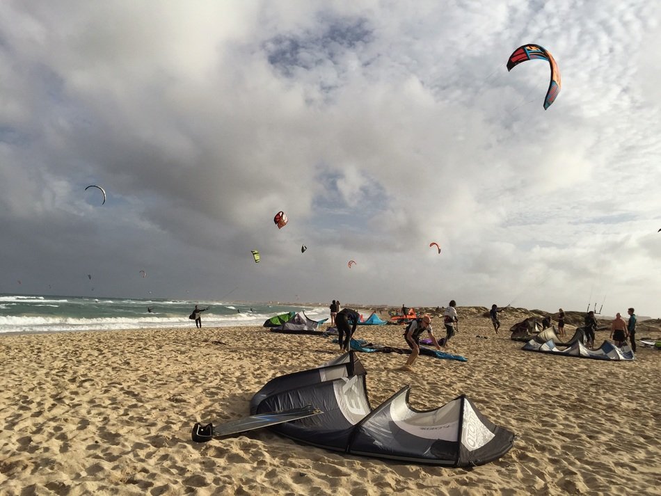 Kite on the beach in summer