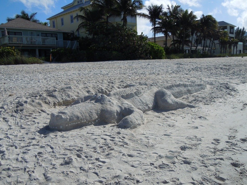 sandy beach for sculpture
