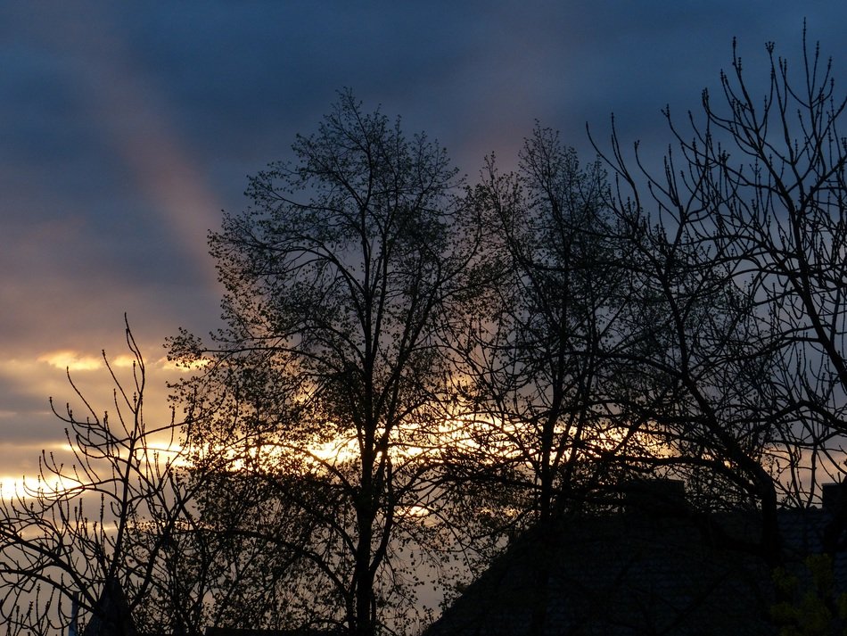 bright sunset mood