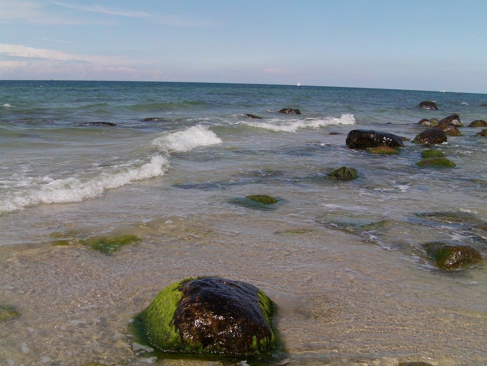 stones in the water on the coast of the baltic sea