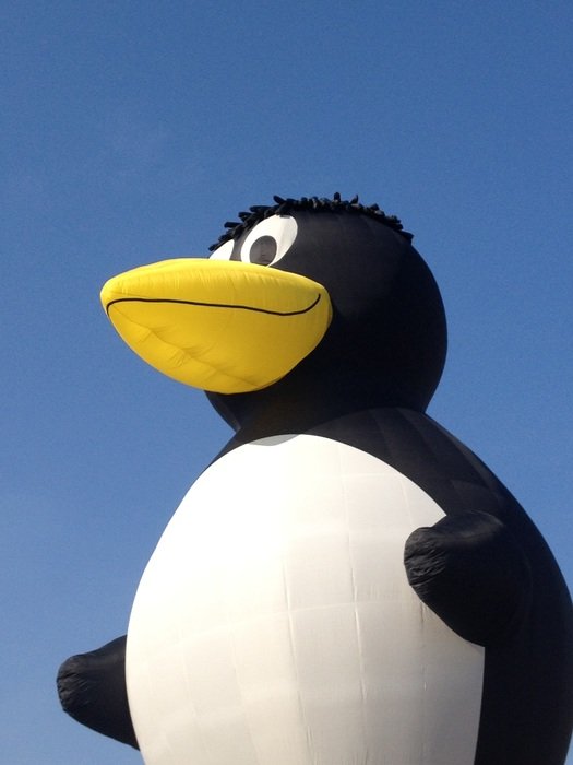 Inflatable penguin in summer