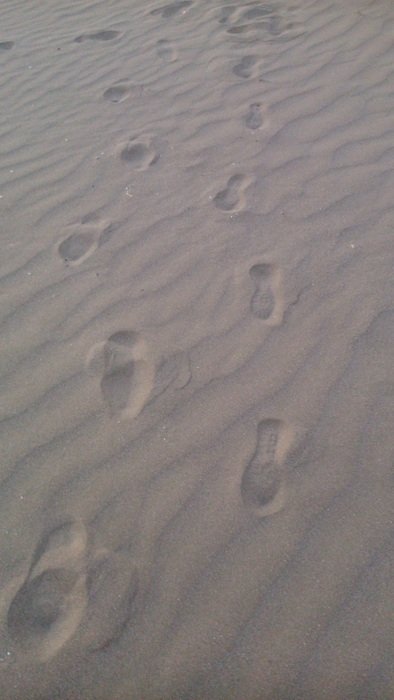 Walking on the sand on beach