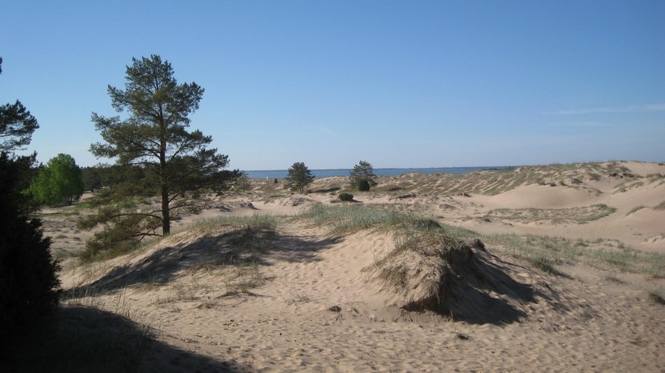 Beach in Yyteri