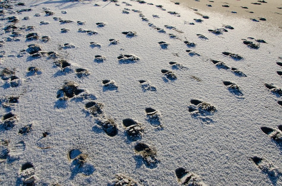 steps to the sea coast