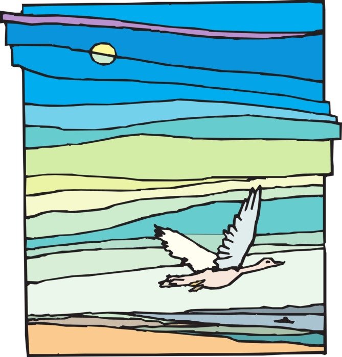 painted bird flying in the sky
