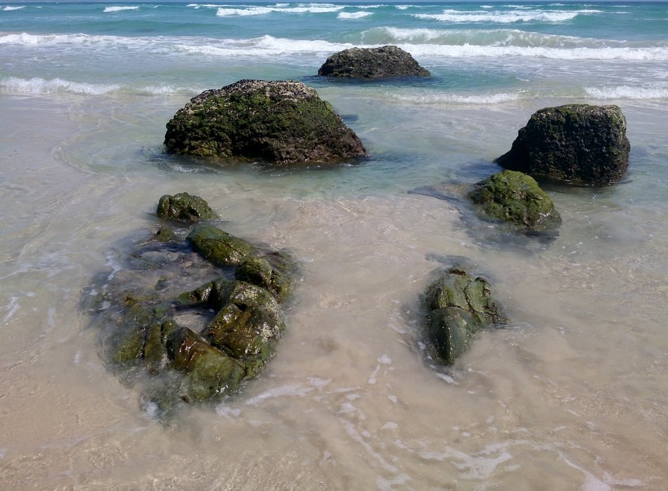 rocks in the water on the beach