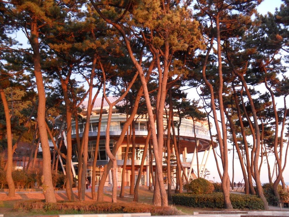 dongbaek island