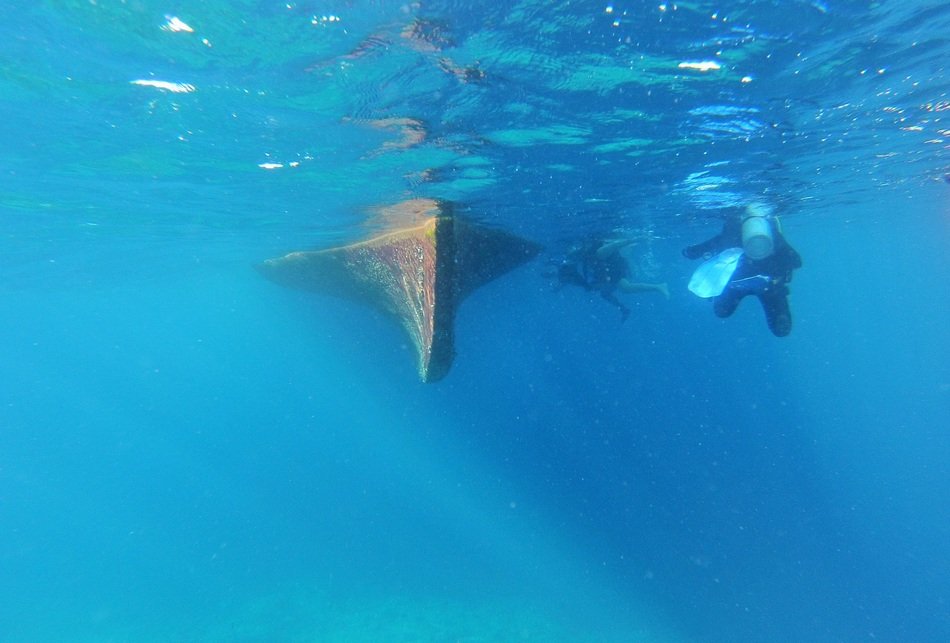 Divers and boat