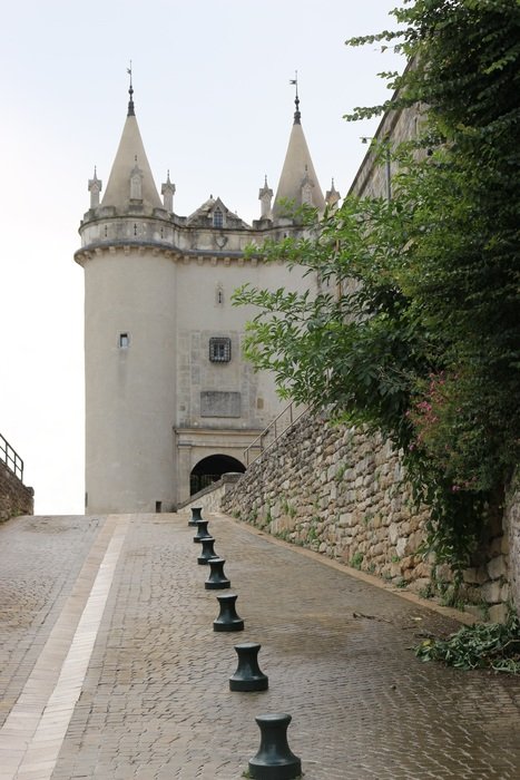 castle in south of france
