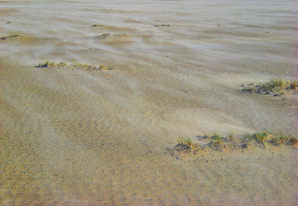 wavy line of coast close-up