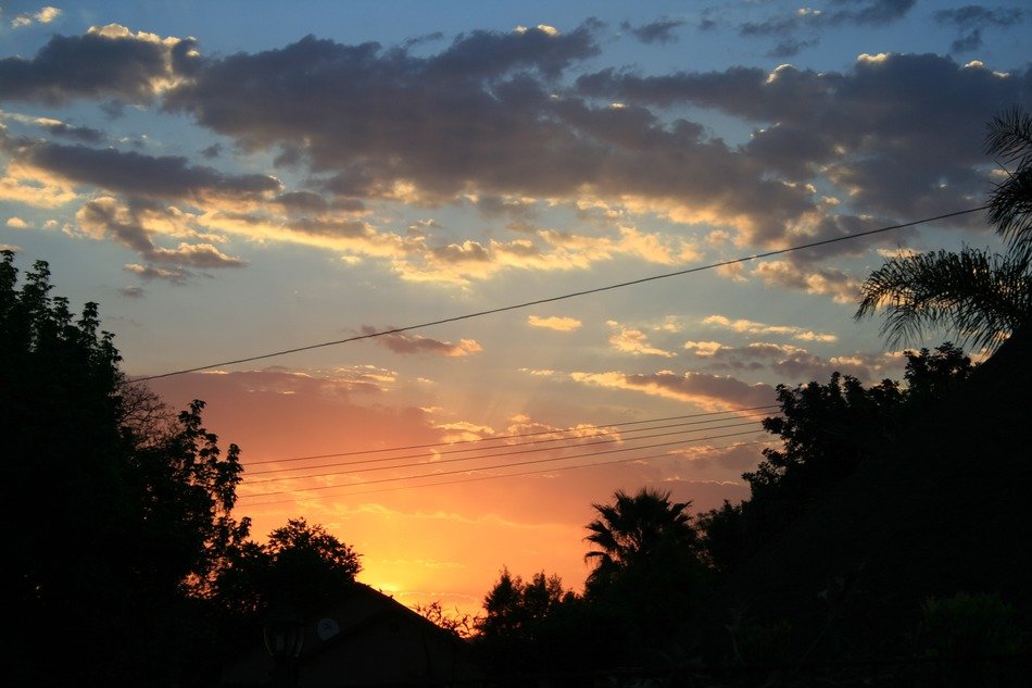 the sun went down behind the trees