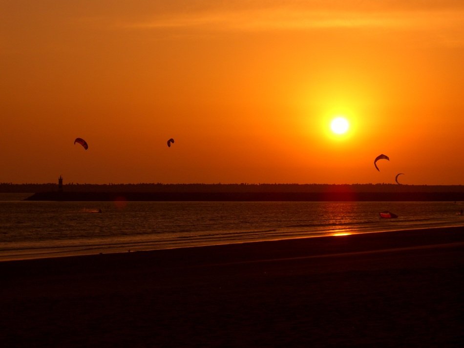 kites against golden sunset