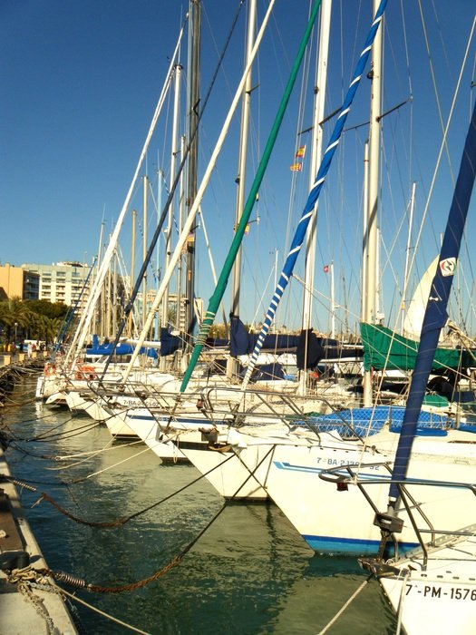 yachts set abreast in the harbor