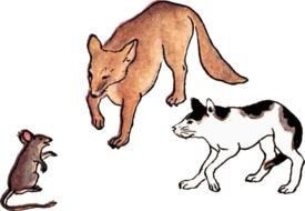 Japanese Painting In Coloured Ink Showing A Rat Sitting Up Talking To