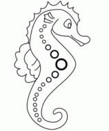 seahorse Border drawing