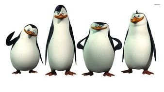 penguins on a white background