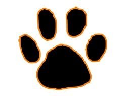 Grizzly Bear Paw Print Panda Free Images N4