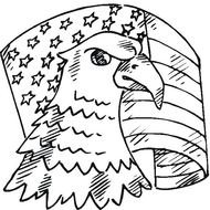 The Eagle Is Strong Bird And Symbol Of Us