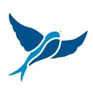 Birds Flying Stencil Jobspapacom