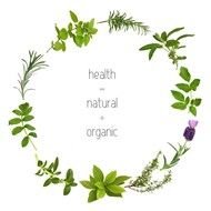 Food corner border clipart