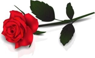 Red Rose Gallery drawing