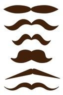 brown mustache of different kinds