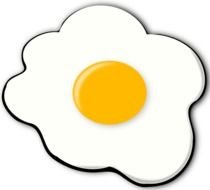fried eggs on a white background
