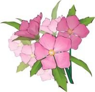 Iris Wreath Page 2 Dog Breeds Picture