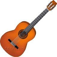 guitars N3
