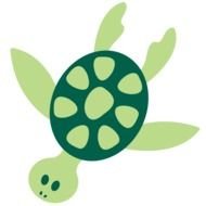 Sea green Turtle drawing