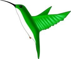 green Hummingbird drawing