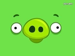 angry bird in green background as a picture for clipart