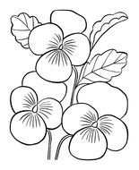 black-white flowers for clipart