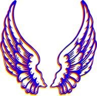 Colored Wings Png And Svg