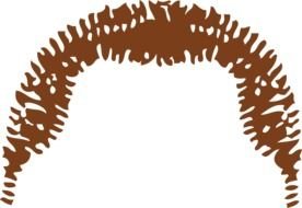 Brown hair clipart