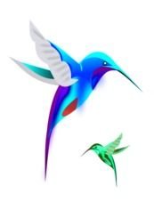 Colibri Birds Vector