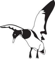 Landing Black And White Duck At Clkercom Vector N2