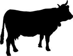black silhouette of a dairy cow on a white background